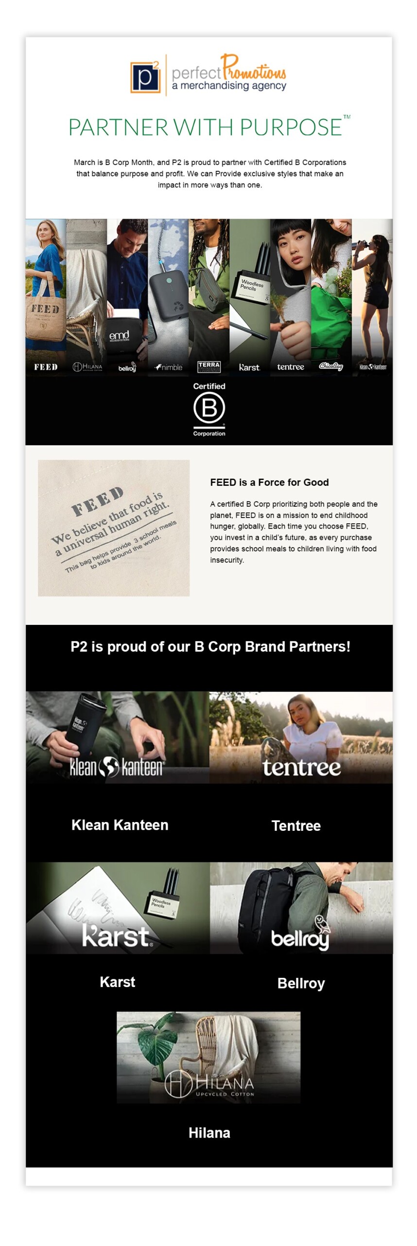BCorp Newsletter Image